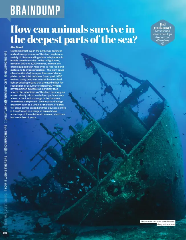  ?? ?? Shipwrecks can form small biomes deep in the ocean