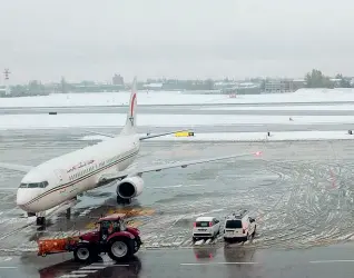  ??  ?? Paralisi Alcune istantanee della giornata di disagi causati ieri dalla neve. Da sinistra: le auto bloccate sui viali in mattinata; gli alberi caduti in viale Carlo Pepoli; un autobus sotto la nevicata in via Rizzoli; la pista dell’aeroporto Marconi...