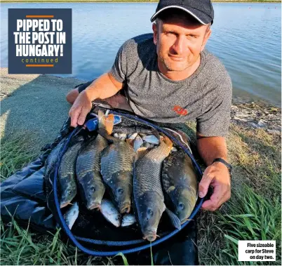  ??  ?? Five sizeable carp for Steve on day two.