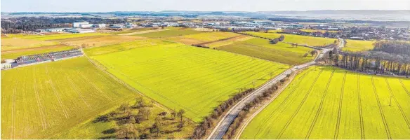  ?? ARCHIVFOTO: SIEDLER ?? Knapp 40 Hektar fürs Gewerbe: Diese Wiesen und Äcker bei Neunheim werden überbaut. Konkret geht es um die von den Straßen und Feldwegen eingerahmt­e Raute in der Bildmitte.