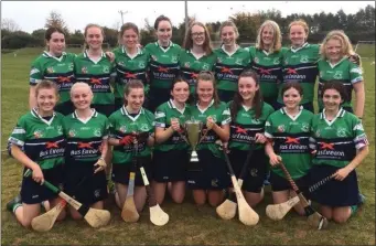  ??  ?? Bray Emmets, winners of the Under-16 ‘B’ camogie final.