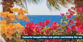  ?? ?? Colourful bougainvil­lea and palms overlookin­g the sea