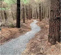  ?? PHOTO: SUPPLIED ?? Trails in the Hanmer forest are a good indicator to what is possible at Rabbit Island.