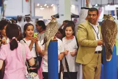  ??  ?? Students get up close and personal with falcons.