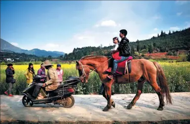  ?? LIU RANYANG / CHINA NEWS SERVICE ?? A pair of tourists get an unusual ride at a rape flower field in Anning, Yunnan province, on Sunday.