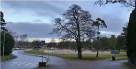  ?? SINGFORS STAD FOTO: HEL- ?? ■
Sandstrand­svägen löper längs med den populära Sandstrand men också Sigurd Frosterus park där det nya badhotelle­t kommer att byggas.