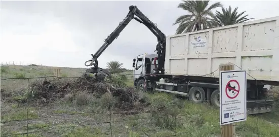  ?? Foto: Anse ?? Die gejäteten Pflanzen werden mit Lastern abgeholt und entsorgt.