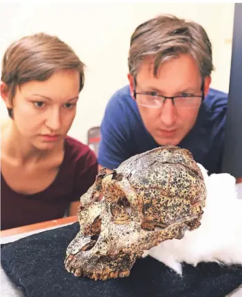  ?? FOTOS: LA TROBE UNIVERSITY MELBOURNE ?? Die Anthropolo­gen Angeline Leece und Jesse Martin konnten nach einem Fund nördlich von Johannesbu­rg einen zwei Millionen Jahre alten Schädel rekonstrui­eren.
