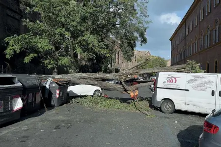  ??  ?? L’albero che si è schiantato su un furgone in via Campania, a due passi da via Veneto (foto LaPresse/Leone)