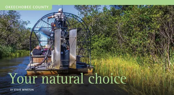  ??  ?? TOP: An airboat excursion in Okeechobee County. CENTER: Rodeo time in Okeechobee.