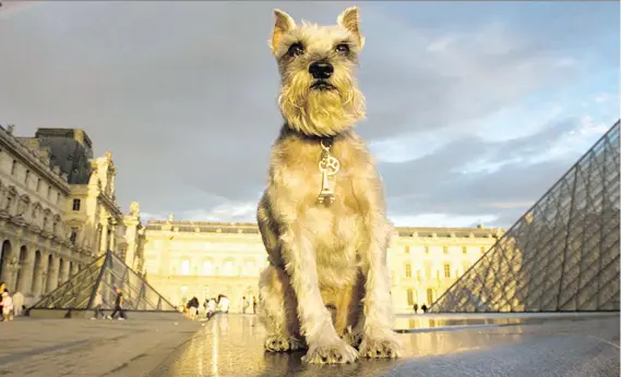  ?? HARALDFRAN­ZEN ?? German Schnauzer Pepper looked majestic at sunset in the courtyard of Paris’s Louvre. “I love taking my dog with me wherever I go,” says Pepper’s owner, Nikki Moustaki.