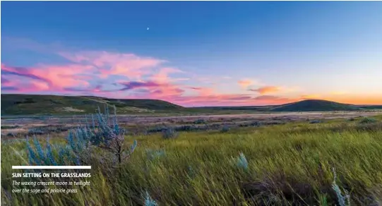  ??  ?? SUN SETTING ON THE GRASSLANDS The waxing crescent moon in twilight over the sage and priairie grass