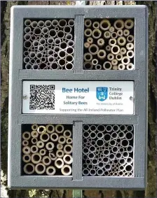  ??  ?? An example of a newly constructe­d bee hotel about 30cm tall offering more than enough top quality accommodat­ion.