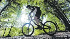  ?? FOTO: TOBIAS HASE/DPA ?? Radfahren ist nur erlaubt auf Waldwegen, wenn diese mindesten zwei Meter breit sind.