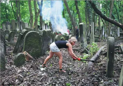  ?? JANEK SKARZYNSKI / AGENCE FRANCE-PRESSE ?? A woman works at Europe’s largest Jewish cemetery in Warsaw, Poland, which has been largely neglected since the Holocaust but is being cleaned up by volunteers from a dozen countries.