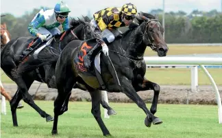  ?? PHOTO: RACE IMAGES ?? Promise To Reign will run in the Herbie Dyke Stakes at Te Rapa on Saturday.