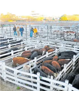  ?? GERARDO DELL’ORO ?? Mataderos. Recibe unos 25 mil animales por semana.