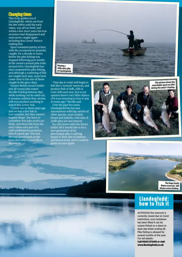  ??  ?? Playing a 40lb-plus pike at Llandegfed­d.
This picture shows the remarkable sport on offer during the water’s heyday.
The huge South Wales reservoir still allows coarse fishing.