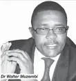  ??  ?? Dr Walter Muzembi