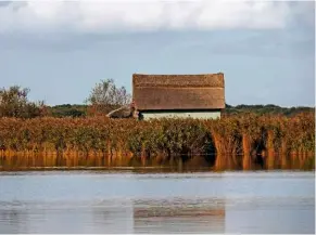  ??  ?? A typical Broadland wooden boathouse with thatched roof in the marshy reed beds at Horsey Mere.