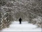  ?? THE ASSOCIATED PRESS ?? Joe Scharpf cross country skis on a trail after a fresh snowfall in the south chagrin reservatio­n of the Cleveland Metroparks Thursday in Moreland Hills, Ohio. Scharpf said he will ski about 6miles on the trail.