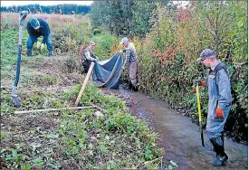  ?? FOTO: SEPPO KOLEHMAINE­N ?? FYSISKT. Det är ett tungt och fysiskt jobb att röja vegetation­en vid och i ån. Här jobbar frivilliga med att anlägga mera grus i den röjda Kocksbybäc­ken.