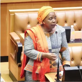  ??  ?? Dr Nkosazana Dlamini-Zuma