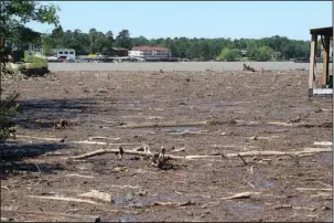  ?? The Sentinel-Record/Richard Rasmussen ?? CLOGGED COVE: Debris from storms over the weekend partially covers a cove on Lake Hamilton near the Airport Road bridge on Monday.