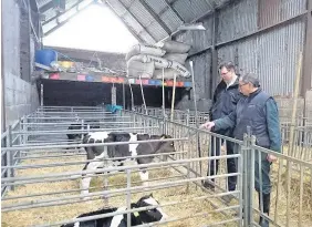  ??  ?? > Gareth Beynon Thomas shows Mr Waters the livestock at Goitre Fach