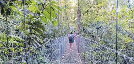  ?? FOTO: IMAGEBROKE­R/SONJA JORDAN ?? Im Mistico Arenal Hanging Bridges Park spazieren Besucher auf Hängebrück­en durch alle Etagen des Regenwalds.
