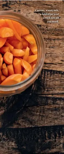  ??  ?? Carrots, water, salt, a lidded jar and a rock are all you need.
Making vinegar from fruit is one of my favourite homesteadi­ng activities.