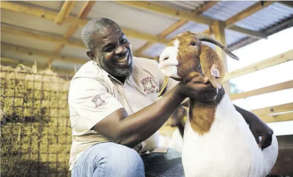  ??  ?? Owen Bartley, managing director of Unity Boer Goat Farm inspects one of his prized goats.