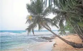  ??  ?? Playa de Manzanillo en el Caribe