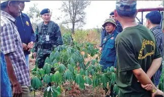  ?? NATIONAL POLICE ?? Thai and Cambodian border guards faced off regarding 6ha of cassava planted by Cambodian farmers.