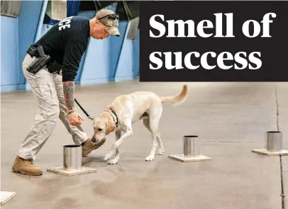  ?? [PHOTOS BY CHRIS LANDSBERGE­R, THE OKLAHOMAN] ?? Handler Kevin Kalstek, of Homeland Security, works with his dog, Yorrit, to detect explosive odors during a K-9 training session hosted by the Oklahoma Highway Patrol and the U.S. Bureau of Alcohol, Tobacco and Firearms in Oklahoma City on Wednesday.