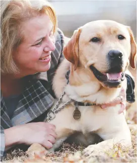  ?? JULIE OLIVER ?? Sandra Luty of Carleton Place is looking after Henson, a Golden Labrador who recently arrived from Michigan to begin training as a CNIB guide dog.