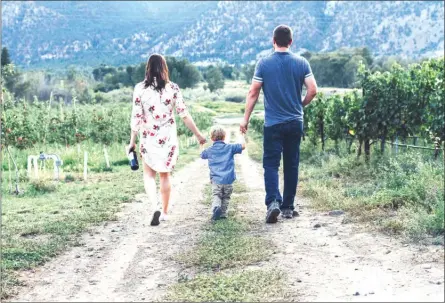  ?? Contribute­d photos ?? Nicole and Mike Dowell take a stroll with their son, Connor, in the vineyard at their new Liber Farm & Winery in Cawston.