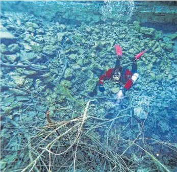  ?? FOTO: ANDREAS KÜCHA ?? In den tiefen des Urspring-Topfes gab es viel zu entdecken.