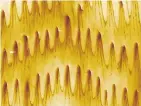  ?? PHOTOS: REISER ET AL., PNAS 2021 VIA THE NEW YORK TIMES ?? A micrograph of the skin from the belly of a Mexican lance-headed rattlesnak­e, which slithers forward, revealing spikes that are normally invisible to the eye. The micrograph image shows a surface 20 microns wide.