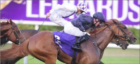  ??  ?? The dead-heat finish to the €50,000 Vinnie Roe Stakes at Leopardsto­wn on Thursday in which Kevin Manning on Jim Bolger’s Cimeara (white colours) was nabbed on the line by Seamie Heffernan on Aidan O’Brien’s Sizzling (blue). Photograph from Horse Racing...