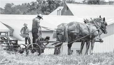  ?? KEITH SRAKOCIC/AP ?? Vaccinatio­ns are lagging in many Amish communitie­s. Above, Amish farmers in Pulaski, Pennsylvan­ia.