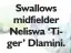  ?? ?? Swallows midfielder Neliswa ‘Tiger’ Dlamini.