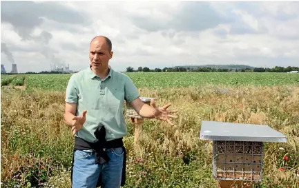  ?? GERALD PIDDOCK/FAIRFAX NZ ?? Researcher Dr Patrick Lind stands in Berd Olligs’ green zone on his 115ha cropping farm.