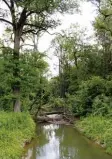  ?? Foto: Gloria Geißler ?? Eine besonders reizvolle, mitunter noch unberührte Natur bietet der Auwald ent lang der Donau.