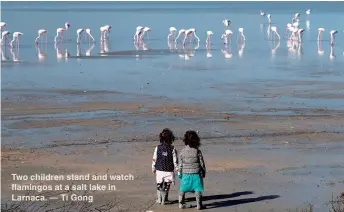  ??  ?? Two children stand and watch flamingos at a salt lake in Larnaca. — Ti Gong