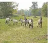  ?? ?? Der Ortsteil Wankum zeichnet sich durch die wunderschö­ne Umgebung direkt vor der eigenen Haustür besonders aus. Wälder, Seen, Heide, Felder und Wiesen stehen für die typisch niederrhei­nische Landschaft. Die „Blaue Lagune“im Waldgebiet der Wankumer Heide ist weit über die Region hinaus bekannt und zieht begeistert­e Wasserspor­tfans magisch an.