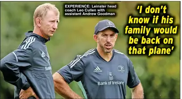  ?? ?? EXPERIENCE: Leinster head coach Leo Cullen with assistant Andrew Goodman