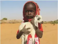  ??  ?? Give a Goat for Christmas to a child in Darfur,from £50, Kids for Kids (07957 206440; www. kidsforkid­s.org.uk)