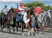  ??  ?? Ladies First won the Auckland Cup earlier this year, but her trainer Allan Sharrock forgetting to lodge an acceptance payment, means she will miss her chance at the Melbourne Cup.