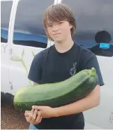  ?? GROW
CALGARY ?? Mac Hughes, 13, holds a massive zucchini that was grown this summer at an urban farm that provides fresh food to the Calgary Food Bank. The vegetable mysterious­ly disappeare­d on Friday.